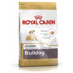 Bulldog Junior 12 Kg